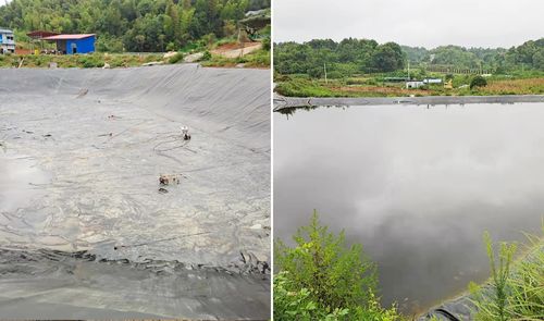 Dernière affaire concernant Projet de lutte contre les fuites dans les bassins de poissons