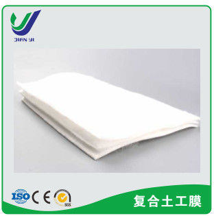Membrane composite HDPE polyvalente 1G1M et 2G1M avec une épaisseur de 0,2 mm à 1,0 mm pour l'ingénierie anti-infiltration multi-scénarios