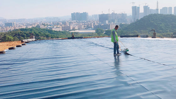 Géomembrane lisse en PEHD résistant aux UV pour un anti-âge et une protection durable dans n'importe quel environnement