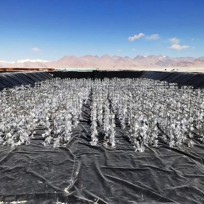 Géomembrane lisse en HDPE résistant aux acides et aux alcalis, résistant aux déchirures pour projet d'ingénierie anti-filtrage
