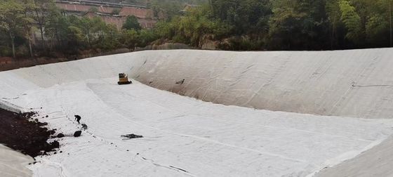 Tissu de filtrage géotextile à longue fibre personnalisable pour la filtration et l'isolation