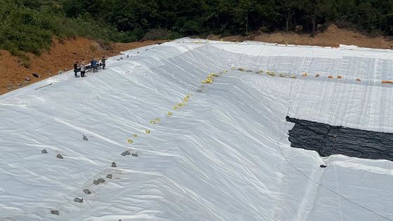 Géotextile à fibres longues de 100g/m2 à 800g/m2 avec résistance aux acides et aux alcalis et résistance aux UV de 70% pour les infrastructures mondiales