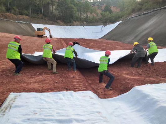 Drainage optimal 3D Réseau de drainage composite Largeur 2m-6m Résistance à la traction ≥16kN/m pour la gestion des eaux de surface et de sous-sol
