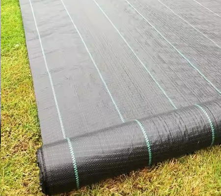 Excellente filtration et drainage Géotextile tissé en polypropylène noir