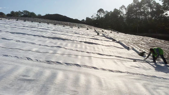 Liner de géomembrane de protection renforcée avec une excellente résistance aux acides et aux alcalis Idéal pour les projets d'hydrometallurgie minière