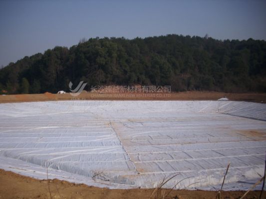 Géotextile à fibres courtes : La solution d'ingénierie économique et polyvalente